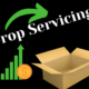 What Is Drop Servicing Business? (For Beginners)